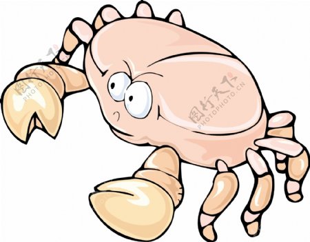 印花矢量图动物螃蟹色彩肤色免费素材
