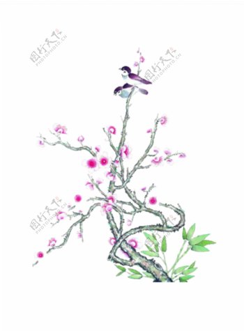 桃花树上的小鸟素材