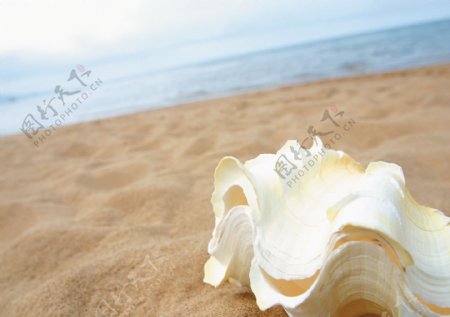 夏日海滩蓝天休闲风景阳光风车帽子太阳镜