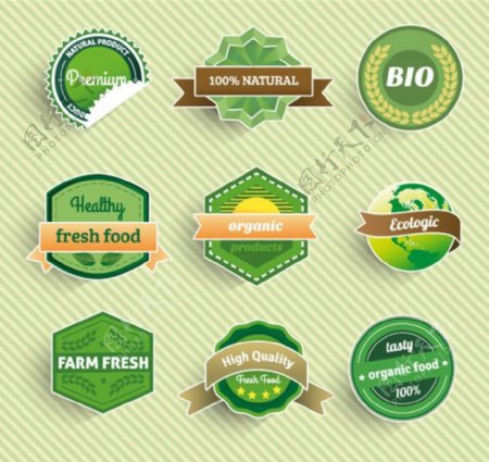 绿色食品标签矢量图