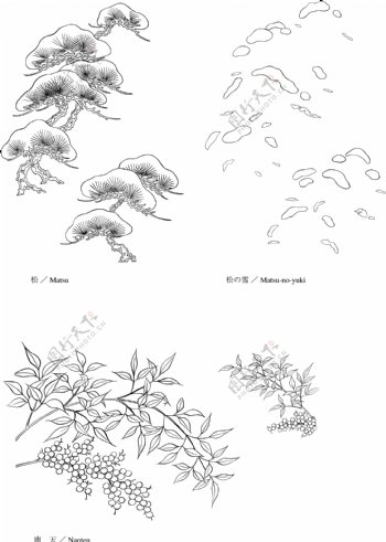 矢量线绘制flowers46松树雪