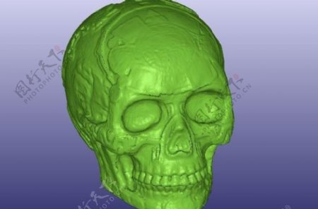 玛雅头骨的3D扫描空心