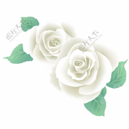 印花矢量图写实花卉花朵玫瑰树叶免费素材