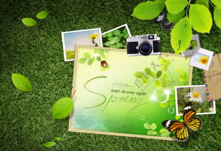草地上的照片绿叶和相机