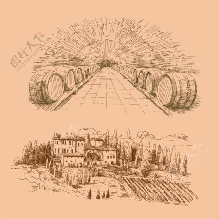 葡萄酒酒窖图片