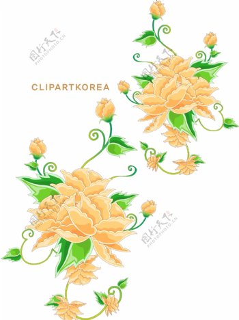 韩国植物花边边框矢量图07