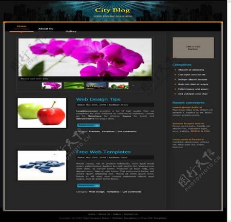 国外蓝色花蕾创意网站模板