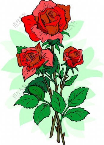 位图优雅植物玫瑰花色彩红色免费素材