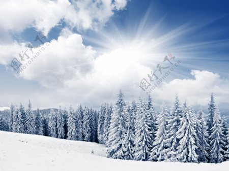 雪景图片素材