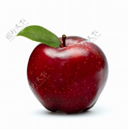 高清红苹果