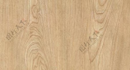 桦木4木纹木纹板材木质