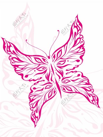 说明了美丽的粉红色的蝴蝶纹身