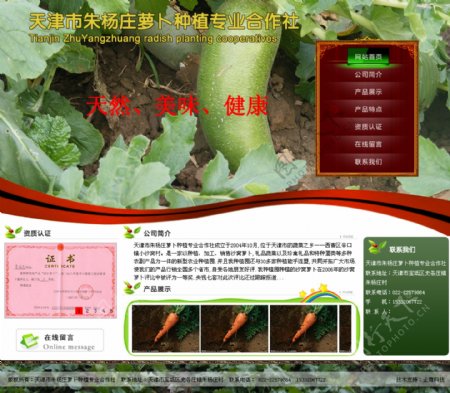 萝卜种植网页图片