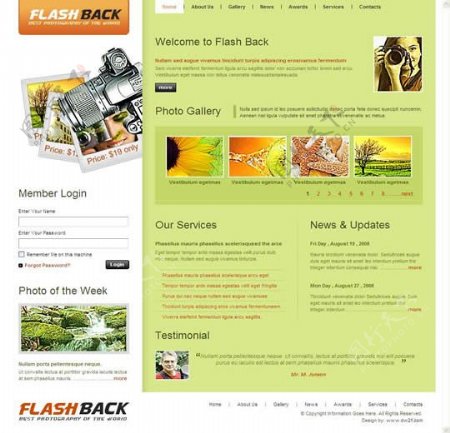 国外FLASJBACK水果网站模版