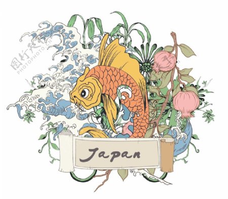 日本锦鲤鱼的矢量插图