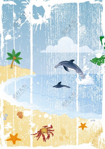 海景椰子树鼠海豚
