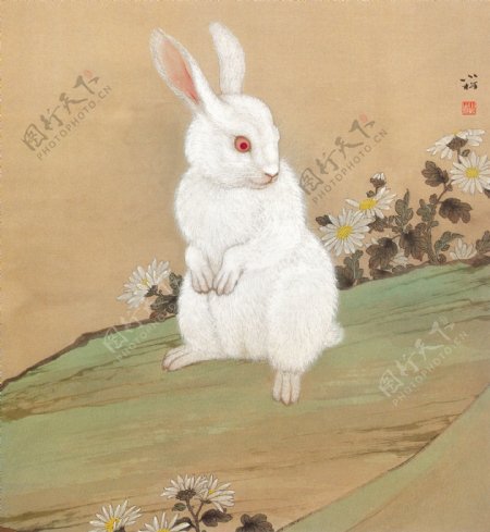 生肖兔国画22