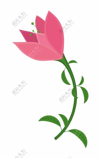 粉红色的郁金香花设计