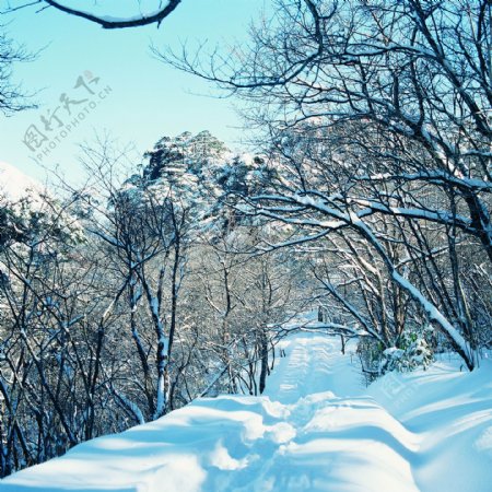 冬天雪景雪景大雪