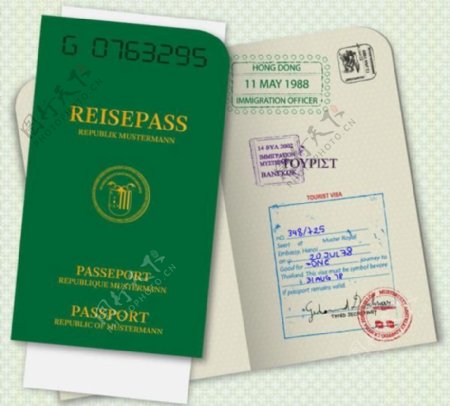 护照模板矢量图2