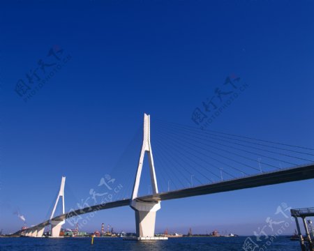 斜拉大桥蓝天图片