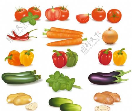 蔬菜矢量素材图片