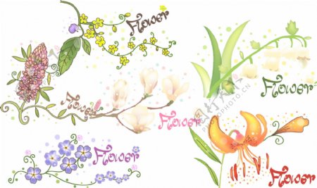 小清新水彩手绘花卉矢量素材图片