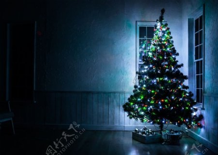 圣诞树室内图片