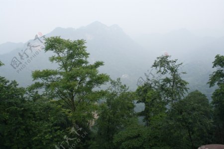 青城山风景图片