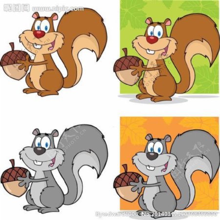 松鼠小动物设计图片