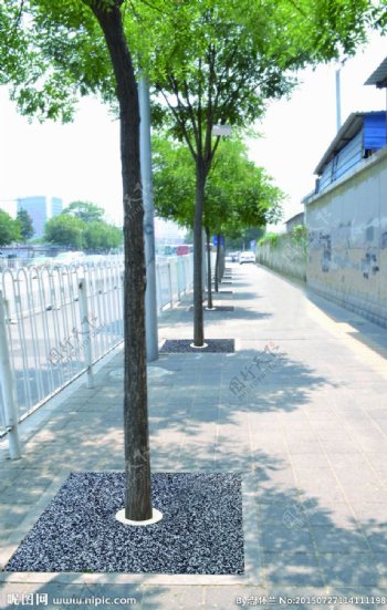 北京南站树池图片