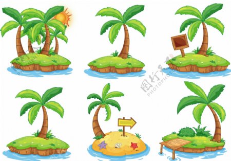 卡通椰子树图片