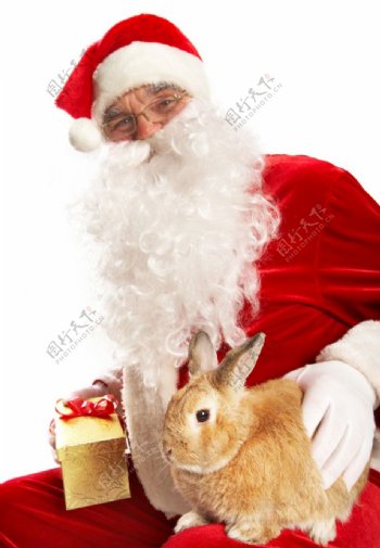 手拿礼品盒和兔子的圣诞老人图片