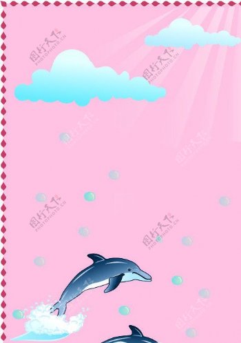 海豚生活图片