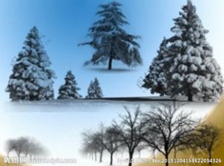 冬季树笔刷雪树图片