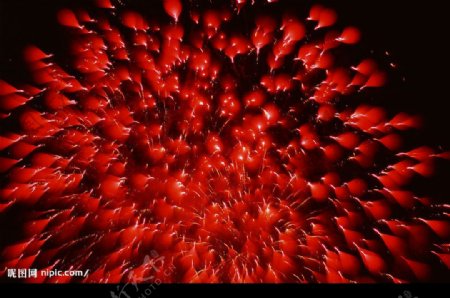 夜空上盛开的火红色烟花图片