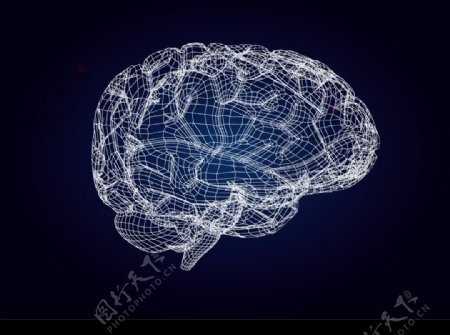 3D模型风格大脑图片