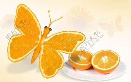 蝴蝶创意橘橙图片