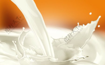 喷溅的牛奶图片