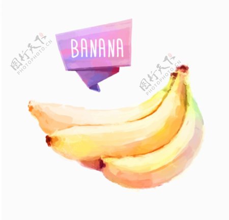 水彩香蕉图片