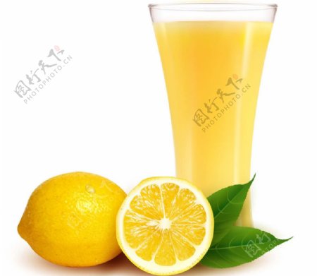 柠檬橙子图片