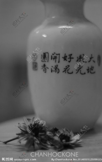 陶瓶花图片
