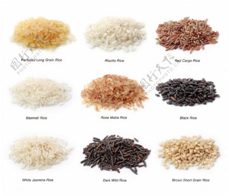 不同品种大米图片