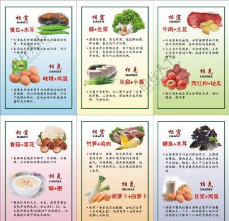 食物相生相克图片