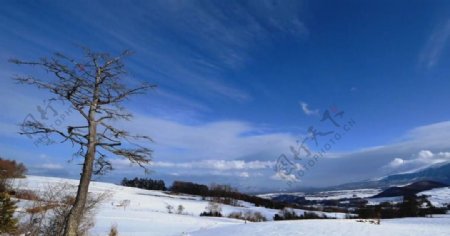 山脉白雪