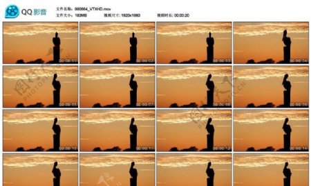 夕阳下的鹈鹕高清实拍视频素材