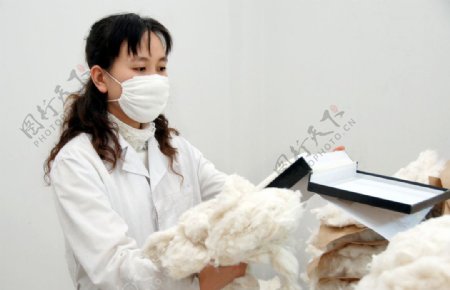 检验技术人员在进行公检棉花品级图片