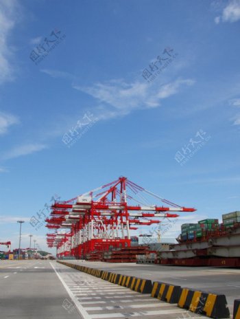 上海洋山深水港集装箱图片