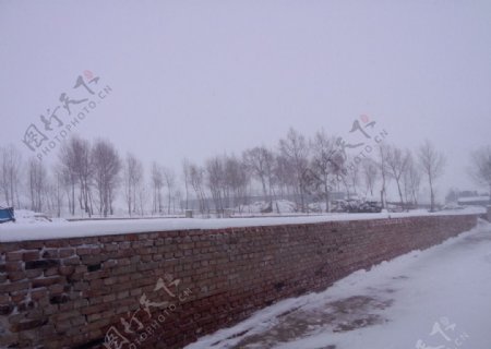 农村冬季院子雪景图片
