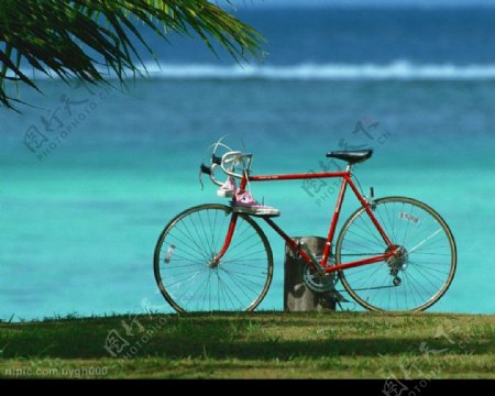 海边的自行车图片